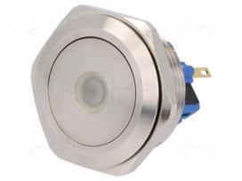 Switch: vandal resistant | Pos: 2 | SPDT | 3A/220VAC | 5A/24VDC | IP65