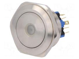 Switch: vandal resistant | Pos: 2 | SPDT | 3A/220VAC | 5A/24VDC | IP65