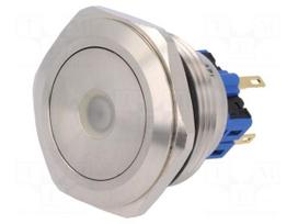 Switch: vandal resistant | Pos: 2 | SPDT | 3A/220VAC | 5A/24VDC | IP65