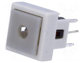 Switch: keypad | Pos: 2 | SPST-NO | 0.05A/12VDC | white | LED | red/green
