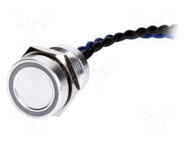Switch: piezoelectric | Pos: 2 | SPST-NO | 0.2A/24VAC | 0.2A/24VDC