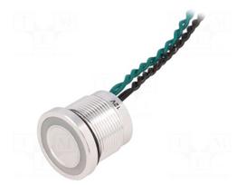 Switch: piezoelectric | Pos: 2 | SPST-NO | 0.2A/24VAC | 0.2A/24VDC
