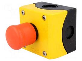 Control station | Man.series: RMQ-Titan | -25÷70°C | IP66 | Pos: 2