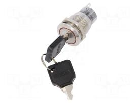 Switch: key switch | Stabl.pos: 2 | Switch.method: ON-ON | Ø19mm | 90°