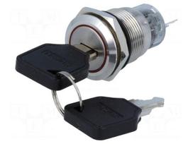 Switch: key switch | Stabl.pos: 2 | Switch.method: ON-ON | Ø19mm | 90°