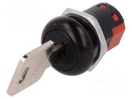 Switch: key switch | Stabl.pos: 3 | Switch.method: ON-ON-ON | Ø19.3mm