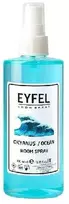 EYFEL purškiamas oro gaiviklis "OCEAN 400 ml."
