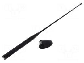 Antenna | AM,FM | Ford