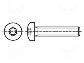 Screw | M4x20 | Head: button | Torx® | acid resistant steel A4 | TX20