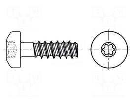 Screw | for plastic | 2,5x12 | Head: cheese head | Torx® | BN: 20166