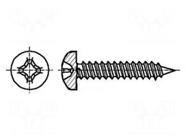Screw | 3,5x38 | Head: cheese head | Phillips | Size: PH2 | Øhead: 6.9mm