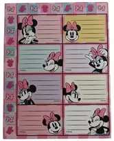 Disney Minnie Joy užrašinės etiketė su lipdukais, 16 vnt.