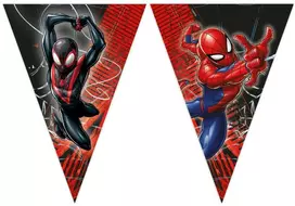 Žmogaus-voro „World of Webs“ reklaminės girliandos FSC 2,3 m
