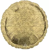 Aukso spalvos, auksinio blizgučių rašto folijos balionas, 43 cm