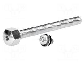 Pin | M16 | Plunger mat: steel | Plating: zinc | Thread len: 150mm
