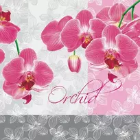 Servetėlės „Gėlės romantiškos orchidėjos“, 20 vnt., 33x33 cm