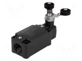 Limit switch | lever R 40mm, plastic roller Ø20mm, double | 10A