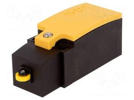 Limit switch | plastic roller Ø9mm | NO + NC | 6A | max.400VAC | M20