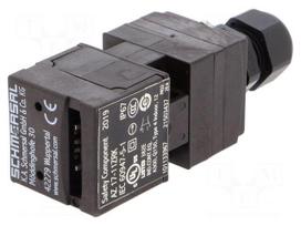 Safety switch: key operated | Series: AZ 17 | Contacts: NC + NO