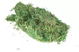 Stabilizuota samana, 750 g