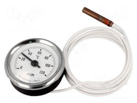 Sensor: thermometer with capillary | Body dim: Ø52x25mm | max.65°C