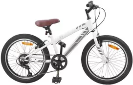 Kalnų Dviratis 24 Colių 6-Speed