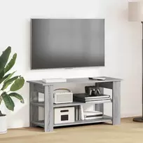 TV staliukas Televizoriaus stovas Pilkas Sonoma 100 x 40 x 50 cm
