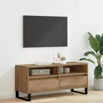 TV staliukas Televizoriaus spintelė Amatininkų ąžuolas 100 x 34,5 x 44,5 cm