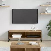 TV staliukas Televizoriaus spintelė Meistrų ąžuolas 100 x 36.5 x 30.5 cm