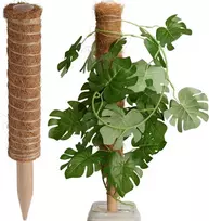 ProGarden Kokosinė augalų atrama 50 cm