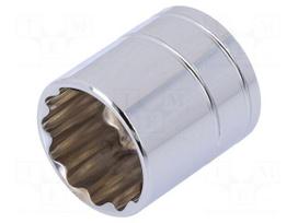 Key | twelve point socket | 21mm | 3/8" | Chrom-vanadium steel