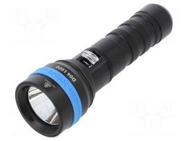 Torch: LED diving | L: 152mm | 10/1600lm | Ø: 29÷45mm | IPX8