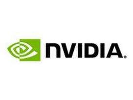 PNY Quadro vDWS Perpetual Lic 1 CCU
