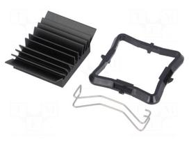 Heatsink: extruded | grilled | BGA | black | L: 25mm | W: 25mm | H: 9.5mm