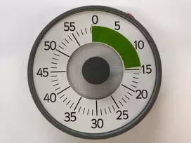 Timetex Laikmatis su kvarciniu mechanizmu (TT61974)