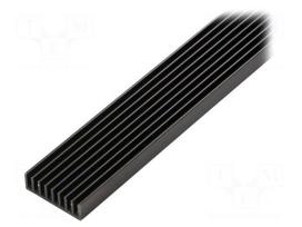 Heatsink: extruded | grilled | black | L: 1000mm | W: 33mm | H: 10mm