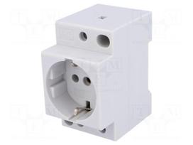 F-type socket (Schuko) | DIN | Input: L+N