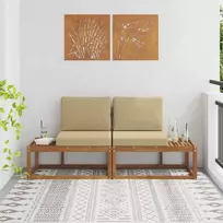 Lauko galinė sofa su pagalve 2 Vienetas Natūralus ir bežinis