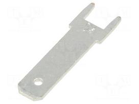Terminal: flat | 4.8mm | 0.8mm | male | THT | brass | tinned | straight