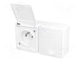Connector: AC supply | socket | 2P+PE | 250VAC | 16A | white | PIN: 3 | IP44