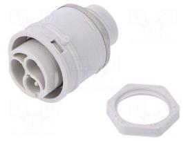Connector: AC supply | push-in | male | 0.5÷2.5mm2 | 16A | 250V | ways: 3