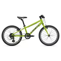 Vaikiškas dviratis Giant ARX 20 Lime Punch