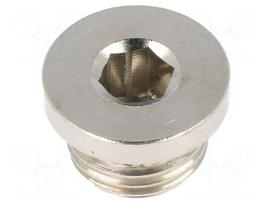 Protection cap | G 1/4" | 100bar | Mat: nickel plated brass