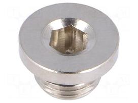 Protection cap | G 1/8" | 150bar | Mat: nickel plated brass