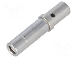 Contact | Size: 12 | female | 2÷3mm2 | nickel plated | crimped | bulk