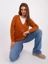 Šviesiai rudas megztinis