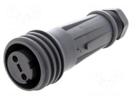 Connector: circular | plug | female | PIN: 2 | EXPlora | Contacts: brass