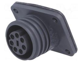 Connector: circular | socket | female | PIN: 7 | EXPlora | nickel plated