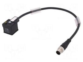 Adapter cable | M12 male,DIN 43650 plug | PIN: 3 | IP67 | 0.3m | 3A