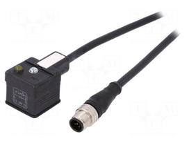 Adapter cable | M12 male,DIN 43650 plug | PIN: 3 | IP67 | 1.5m